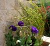 Lisianthus Ve Krmz Yaprakl Saz