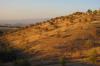 Beytepe Srtlar