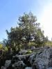 Thermessos Antik ehri / Ard Aac