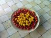 Kırmızı Cherry Domates Ve Sarı Ampul Domates