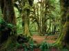 Park, Washington Abd