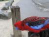 Crimson Rosella (papagan)3