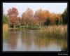 Bursa Soanl Botanik Park