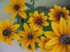 Rudbeckia