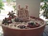 kakts ve lithops