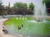 Boazii Hayvanat Bahesi ve Botanik Park