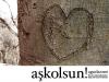 Akolsun 1