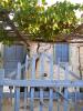 Cunda'dan Bir Köy Evi Kapısı