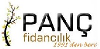 Pan Fidanclk