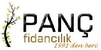 Panç Fidancılık