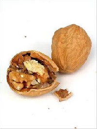 Şirinfidancilik