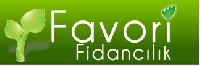 Favori Fidanclk