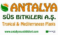 Antalya Ss Bitkileri Biyolojik Havuz Peyzaj ve Tarm A.