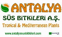 Antalya Süs Bitkileri Biyolojik Havuz Peyzaj ve Tarım A.Ş