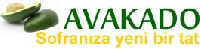 Avakado Meyvesi & Yapra