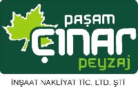 PAŞAM ÇINAR PEYZAJ