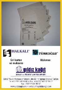YILDIZ KAGIT SAN VE TC LTD T