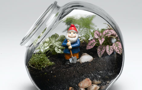 Name:  terrarium_lg.jpg
Views: 23098
Size:  29.7 KB