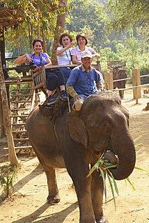 Name:  DSC00569-2.JPG
Views: 2433
Size:  54.3 KB