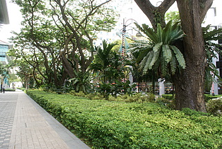 Name:  DSC01639-1.JPG
Views: 728
Size:  55.3 KB