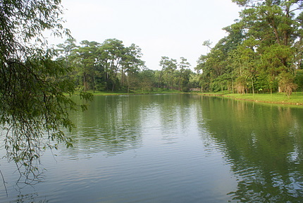 Name:  DSC08366-1.JPG
Views: 2617
Size:  68.0 KB