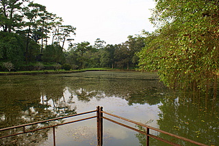 Name:  DSC08390-1.JPG
Views: 2043
Size:  48.5 KB