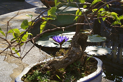 Name:  DSC08851-2.JPG
Views: 1824
Size:  69.8 KB