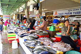 Name:  DSC09685.JPG
Views: 2169
Size:  62.0 KB