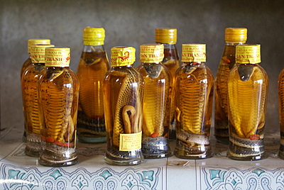 Name:  DSC09343-1.JPG
Views: 1089
Size:  63.5 KB