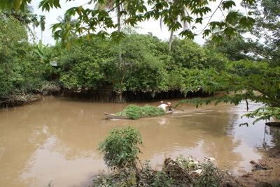 Name:  DSC09418.JPG
Views: 1513
Size:  66.1 KB
