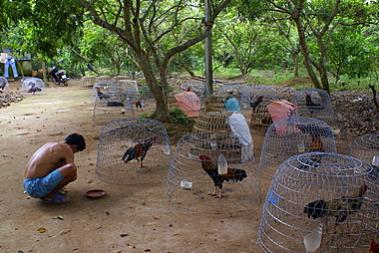 Name:  DSC09430-3.jpg
Views: 1059
Size:  27.0 KB