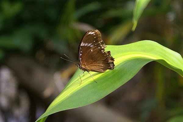 Name:  DSC09457-1.jpg
Views: 1114
Size:  22.6 KB
