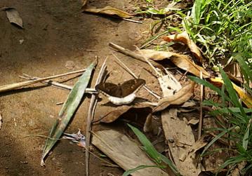 Name:  DSC09480-4.jpg
Views: 1096
Size:  27.5 KB
