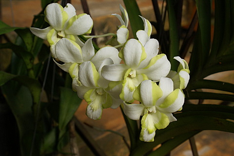 Name:  DSC09637-1.JPG
Views: 1149
Size:  58.8 KB