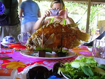 Name:  P1060904-2.jpg
Views: 1049
Size:  26.8 KB