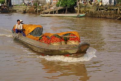 Name:  DSC09655-1.jpg
Views: 1074
Size:  23.8 KB
