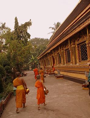 Name:  DSC09761-2.jpg
Views: 1907
Size:  25.0 KB