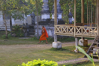Name:  DSC09904-2.JPG
Views: 2002
Size:  61.1 KB