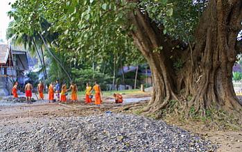 Name:  DSC09932-2.jpg
Views: 1495
Size:  27.7 KB