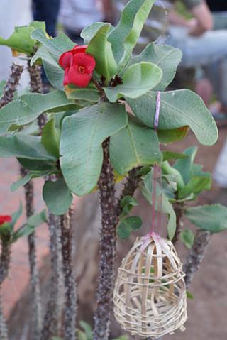 Name:  DSC09978-2.jpg
Views: 1916
Size:  26.8 KB