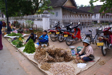 Name:  DSC00066.JPG
Views: 1936
Size:  66.4 KB