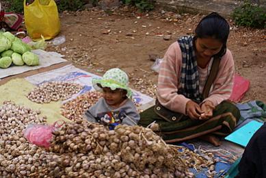 Name:  DSC00067-3.jpg
Views: 1920
Size:  28.9 KB