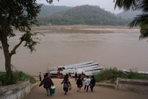 Name:  DSC00110-1.JPG
Views: 1446
Size:  62.8 KB
