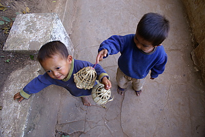 Name:  DSC00236.JPG
Views: 1912
Size:  56.5 KB