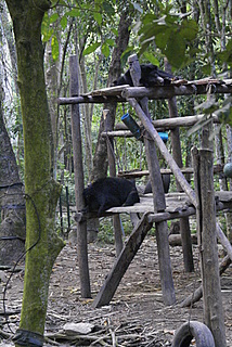 Name:  DSC00614-2.JPG
Views: 1331
Size:  54.0 KB