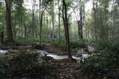 Name:  DSC00621-2.JPG
Views: 1424
Size:  65.7 KB