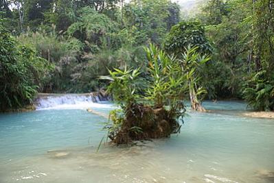 Name:  DSC00629.jpg
Views: 1651
Size:  26.0 KB
