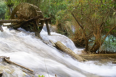 Name:  DSC00659-1.JPG
Views: 1692
Size:  68.8 KB