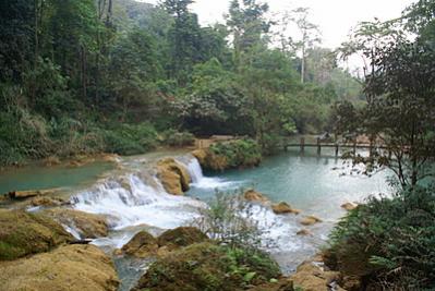 Name:  DSC00701-3.jpg
Views: 1660
Size:  26.4 KB