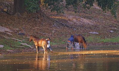 Name:  DSC00967-3.jpg
Views: 2011
Size:  21.7 KB